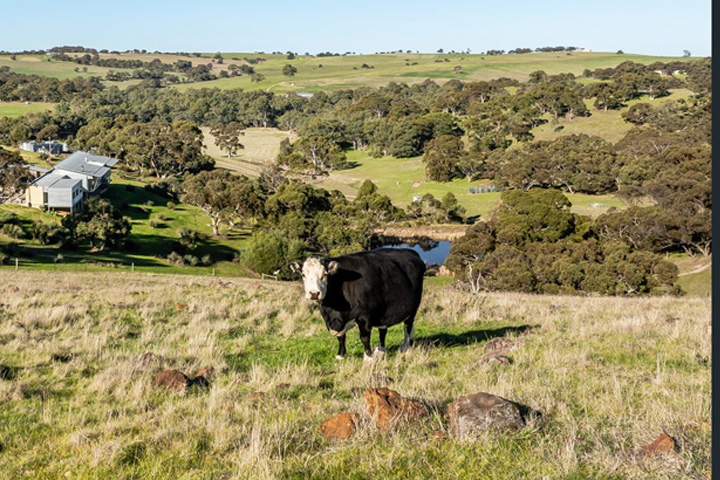 Signal Point property, Finniss River country
